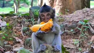 Look! Little Elayna Eating a Big Banana &mdash; Simply Adorable 🍌/smsrmedia1540/