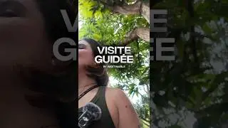 VISITE GUID&Eacute;E - &Eacute;pisode 1 🇨🇮