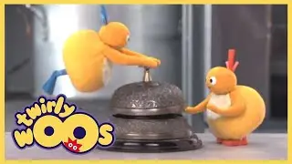 More About This Way, That Way | Twirlywoos | Live Action Videos for Kids | WildBrain Zigzag