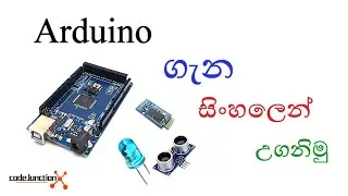 Blink a LED from an Arduino board (Arduino Basics Sinhala #3)