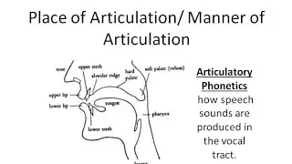 Place & Manner of Articulation