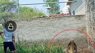 किसान की मेहनत / kisan ki mehnat #agricultura #kisan #123
