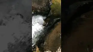 Clem Walton Park 4th July 21- A lil Waterfall action. 🙂❤️🙏