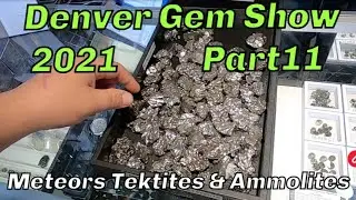 Meteorites, Pseudo Tektites, & Ammolites Denver Gem Show 2021 part11