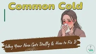 Common Cold & Nasal Congestion &ndash; Why Your Nose Gets Stuffy & How to Fix It