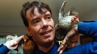 Urban Homesteaders and the Challenges of City Chickens | The New York Times