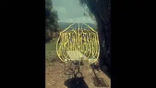 Cardinal & Nun -  Peace