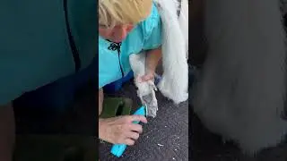He Won't Let Anyone Do His Nails