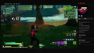 Just playing some fortnite