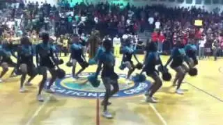 Mlec 2011 Peprally