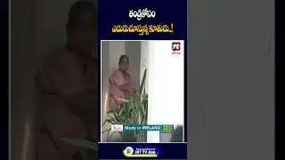 #viralshorts #alluarjun #pushpa2 #alluarha #sandhyatheatre #hittvtelugunews @Hittvtelugunews