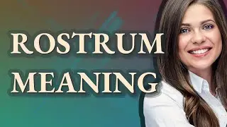 Rostrum | meaning of Rostrum