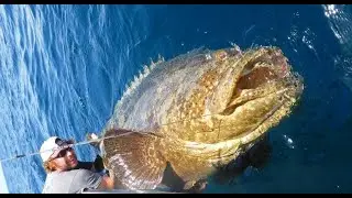Top 5 Big Fish Caught in The Sea are Recorded By Cameras   Amazing Fishing Skills, Catching Big Tuna