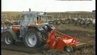 24. mars 2000 S&aring; gulrot