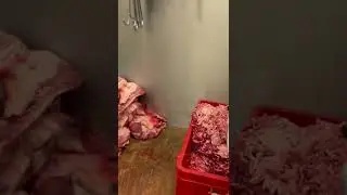 Herstellung von Hackfleisch in Fleischerei BBG