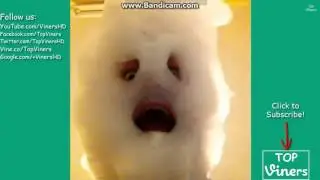 A few happy cloud vines