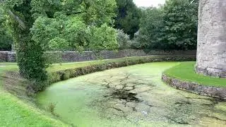 Nunney castle 19/7/2020 part 2