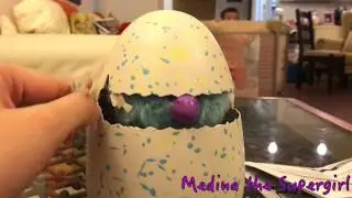 WEIRD BABY HATCHIMALS (GLITTERING GARDEN)