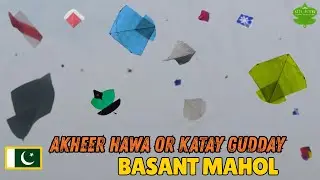Extreme PATANG BAZI | KITE LOOTING on BASANT
