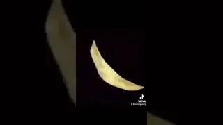 chip short (TikTok version)