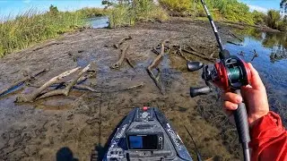 Surprising bite at a weird tide (+new confidence bait)