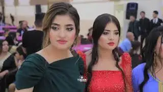 حفلة زفاف نيدال & سناء/ برزان ناسو و جميل ناسو و مازن الياس 2023