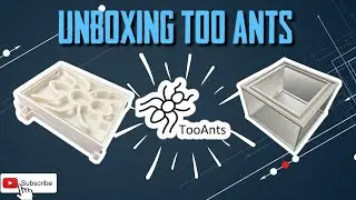 UNBOXING BOUTIQUE TOO ANTS (3D)