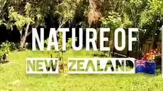 NATURE OF NEW ZEALAND | Nayeem Rahman | Short Video | Beauty Of Nature