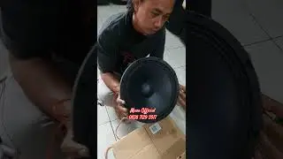 Speaker ACR Fabulous 12