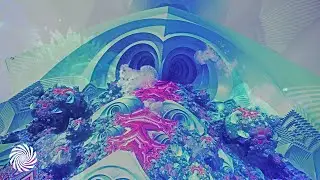 Divine Signal - Aba