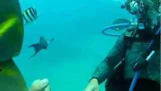Breathing Observation Bubble