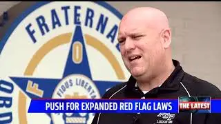 Push to expand gun-confiscating laws to other states