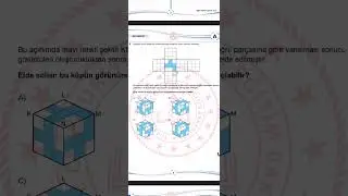 Lgs 2024 vs Lgs 2025
