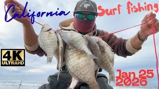 Surfperch Fishing Half Moon Bay - Jan. 25, 2026