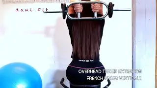 dani Fit ✔️ TRICEPS french press #frenchpress #bodybuilding #homegym #fitness #triceps #tricipiti