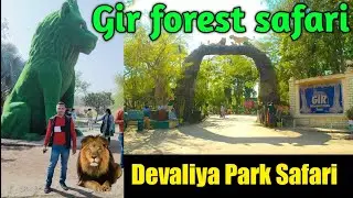 Devaliya Park Sasan Gir | Jungle Safari | Devaliya  |