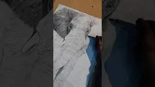 elephant realistic sketch 🐘 #music #workingartist #drawingstyles #drawing