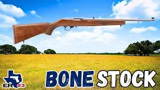 Best Ruger 10/22 Upgrades