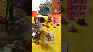 Current energy for water sign #tarotastro #tarot#tarotreadi #fortunetelling#tarotreading #dailytarot
