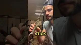 This stick costed us $3,000 🥲