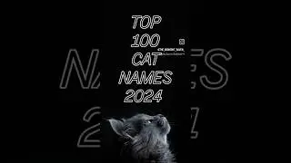 TOP 100 CAT NAMES OF 2024 55 - 51 #cats #catnames #top100 #cat #cats #lists #shorts