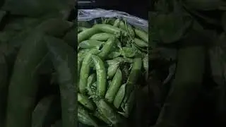 #comedy #funny #new sanjay comedy#comedy #funny @🤣🤣🤣🤣🤣