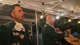 Son de la Negra, La Chona, El Jaliscience, Urge, Quinto Patio -Mariachi Trio Tradicional  Sacramento