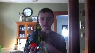 Nerf Gun Reviews: Buzzbee Tek 6 Review and Firing Test
