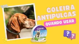 A coleira Leevre realmente funciona? Tudo aqui