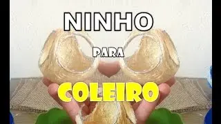 FAZENDO ninho BOLA para coleiro. #PARTE1