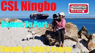 CSL Ningbo comes to port on a calm morning enabling us to enjoy the sounds of the ship's engine