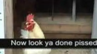 RedneckRooster's Response to j0hnwi11iams Elite Video