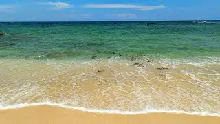 Sampur Beach | සාම්පූර් වෙරළ, Foul Point (2018)