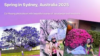 🌸Spring in Sydney, Australia 2025 🌸| Co Phuong Photoshoot | Nhạc Xu&acirc;n Trữ T&igrave;nh